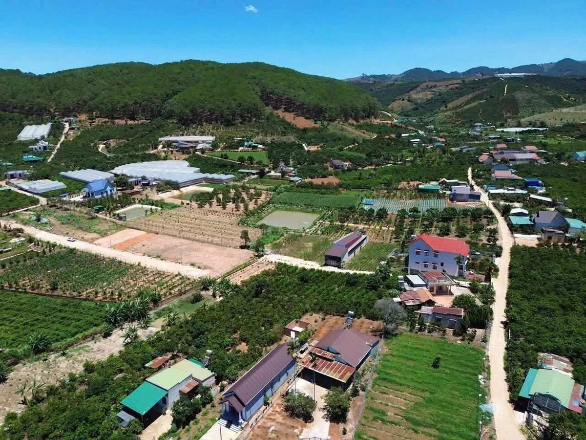 Bán đất Mê Linh gần Đà Lạt 175m² 899 triệu - Ảnh thu nhỏ 5
