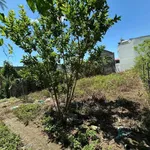 Bán đất dân cư 201m² Nha Trang, 2,2 tỷ - Ảnh thu nhỏ 2