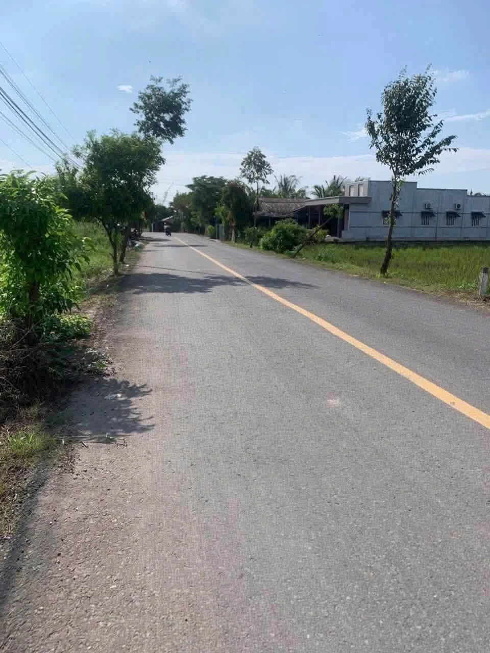 Bán đất Mỹ Hạnh 10x29 (290m²) giá 2,55 tỷ - Ảnh 1