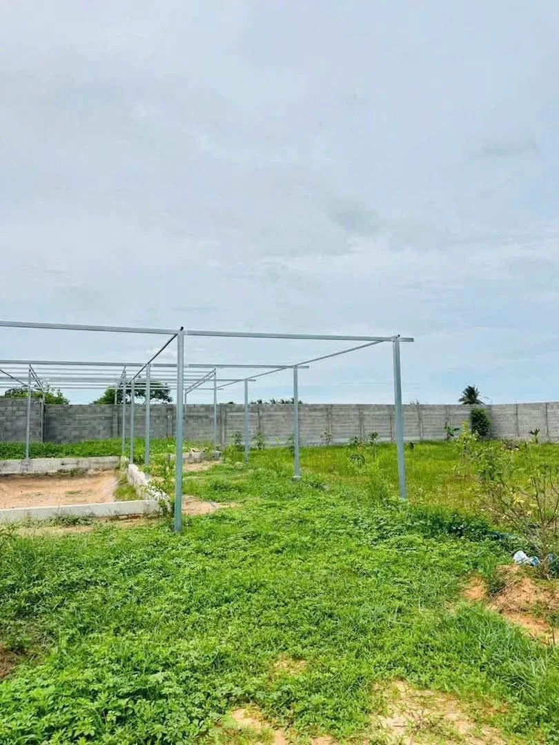 Bán đất quy hoạch thổ cư 1.2 sào Hàm Liêm 1 tỷ 150 triệu - Ảnh thu nhỏ 3