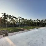 Gia đình cần bán mảnh đất 95m2 full thổ cư mặt tiền 6,8m giá 1 tỷ tại Bạch Long - Ảnh thu nhỏ 4