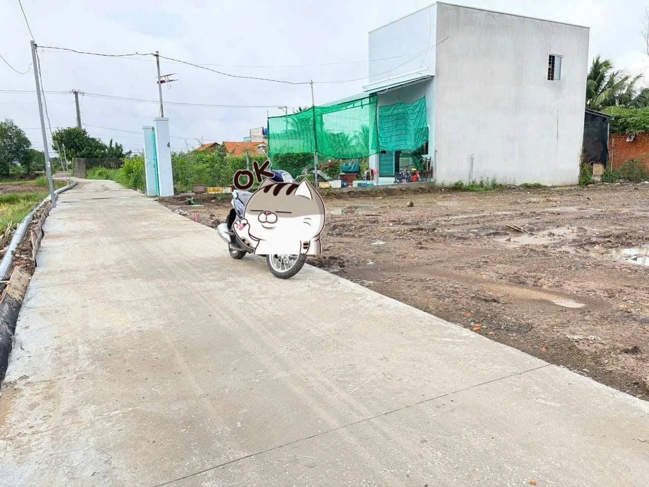 Bán đất thổ cư 175m² Tân Bửu, Bến Lức, Long An - Ảnh 1