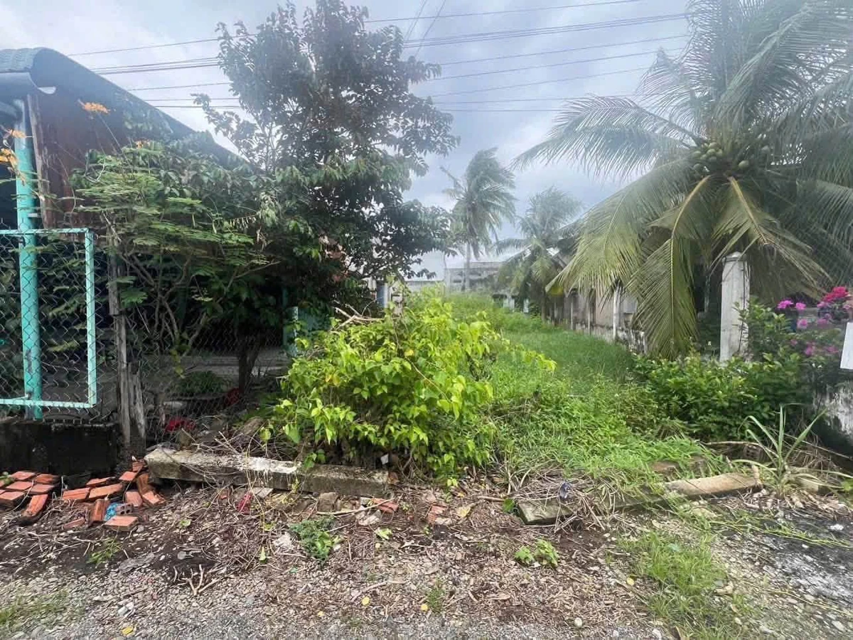 Bán đất thổ cư 138m2 Tuyên Quang Lâm Đồng 5.5 tỷ - Ảnh thu nhỏ 2