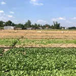 Bán 8500m2 đất Bình Tân Vĩnh Long - 350tr/1000m2 - Ảnh thu nhỏ 2