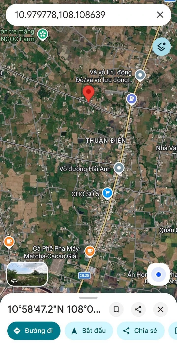 Bán lô đất 290m, 132m thổ cư, mặt tiền ở Bình Thuận - Ảnh 1