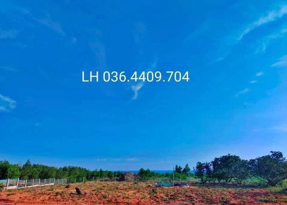 Bán đất Thiện Nghiệp 1000m2 (10x100) - 2.5 tỷ - Ảnh 1