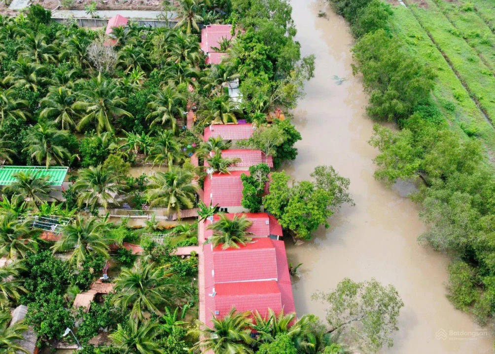 Papa Farm Riverside khu vườn của Ba Hạnh Phúc cho cả nhà đất vườn MT Sông Thành Triệu 1,2 ha - Ảnh 1