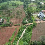 Bán đất sào view suối tại Ea Tiêu, Đắk Lắk 1 tỷ 840 triệu - Ảnh thu nhỏ 2