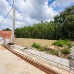 Bán lô đất 80-100m2 sổ riêng Tân Triều 1 tỷ 150 triệu - Ảnh thu nhỏ 2