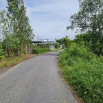 Vị trí đắc địa MT đường Huyện Lộ 9, cách ngã ba Nguyễn Trãi vào đúng 4 căn nhà. 15x72m, nở hậu 28m - Ảnh thu nhỏ 6