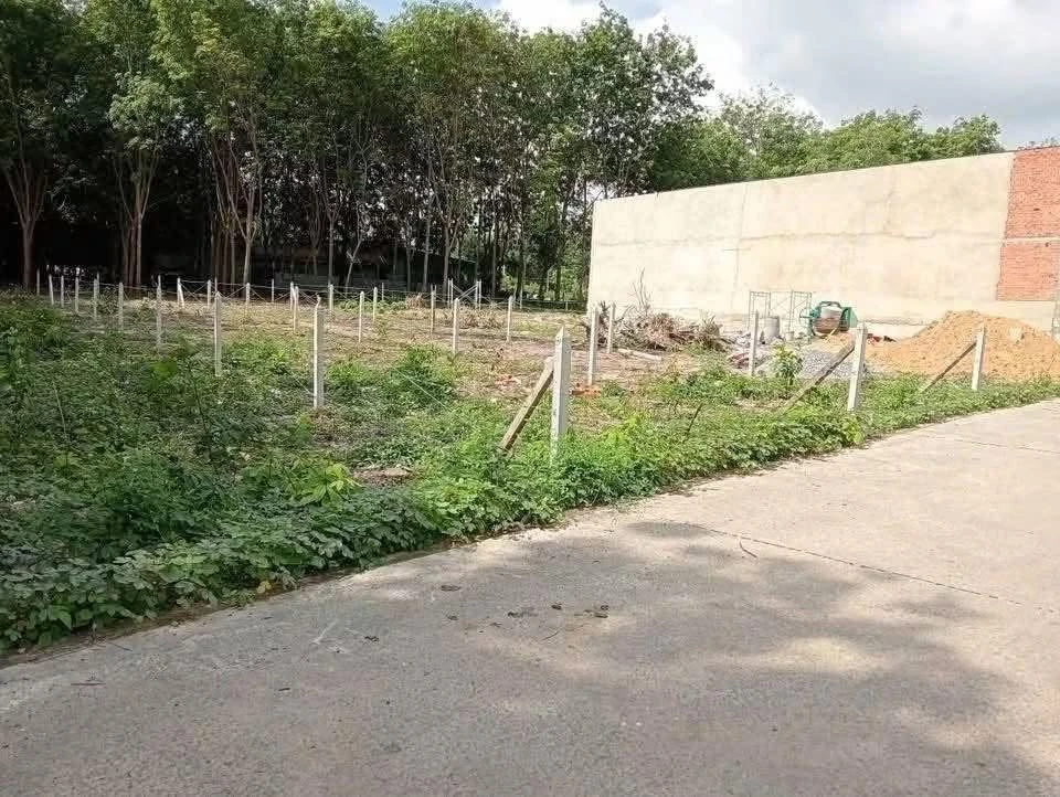 Bán 4 lô đất An Điền Bình Dương, giá 1,2 tỷ/lô - Ảnh 1