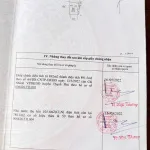 Chính chủ bán gấp 5600m2 đường Tỉnh 881 nhựa 10m, cách Phà Mỹ An 1km,giá 1tr160/m2 - Ảnh thu nhỏ 27