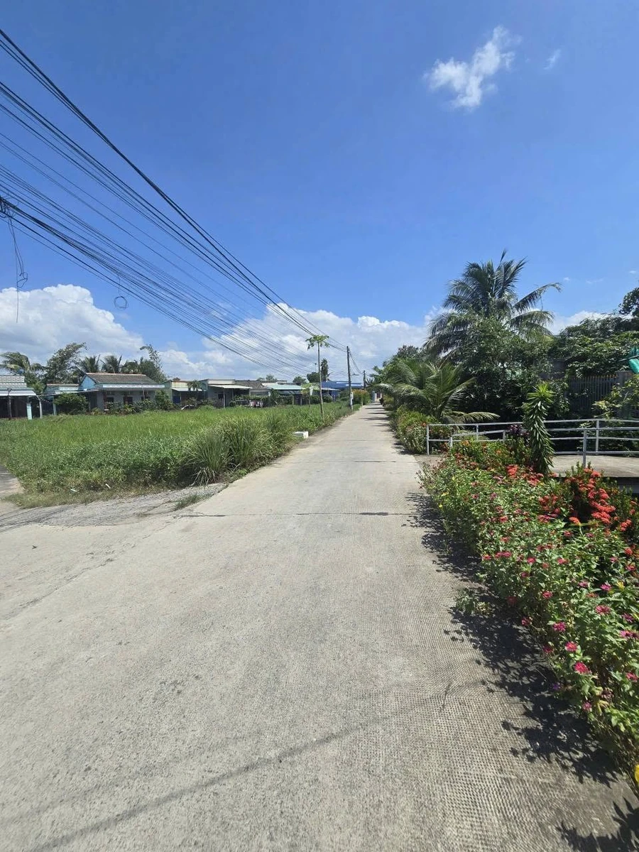 Bán đất thổ cư 200m2 ấp Chánh, Long Hiệp, Bến Lức, Long An giá 2,4 tỷ - Ảnh thu nhỏ 5