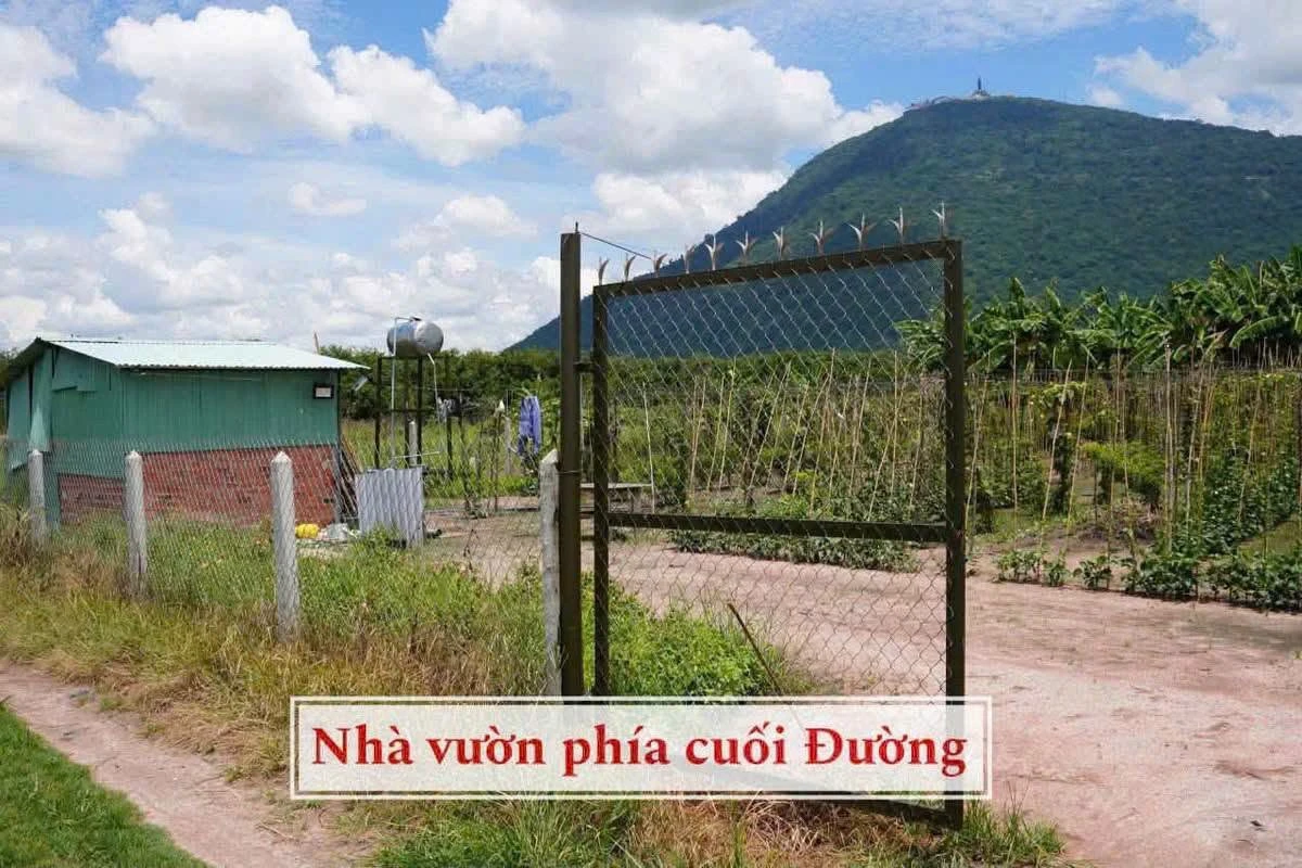 Bán đất vườn 1000m² view núi Tây Ninh – 359 triệu - Ảnh thu nhỏ 2