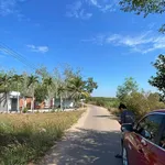Bán đất 1500m² xã Dầu Tiếng TP HCM 1 tỷ - Ảnh thu nhỏ 4