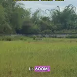 Bán đất 2.600m² Đức Hoà Long An, mặt tiền tỉnh lộ 822 - Ảnh thu nhỏ 3