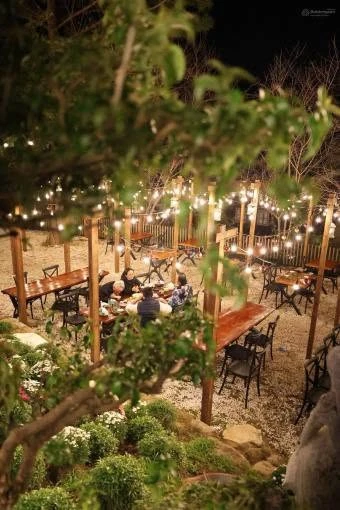 Bán biệt thự 2 mặt tiền 1.400m² Đà Lạt - Ảnh thu nhỏ 2
