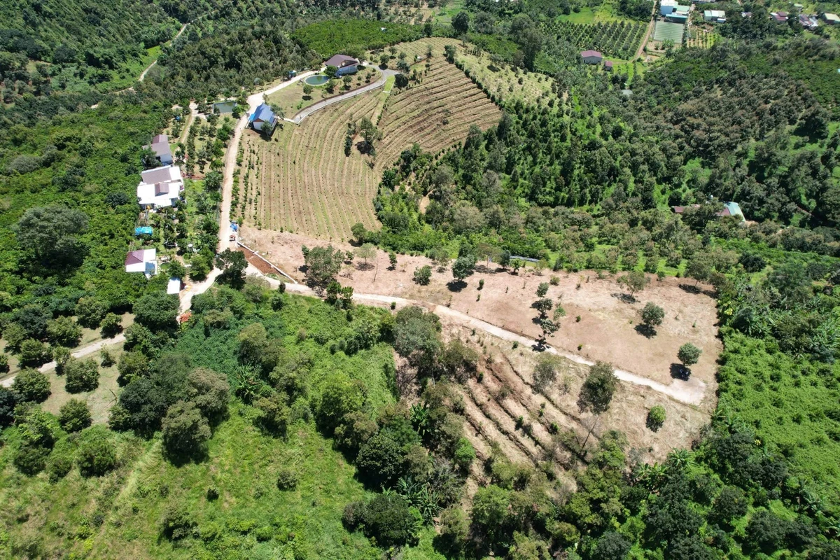 Bán đất 7000m² view đồi Tân Lạc, Bảo Lộc, giảm 350 triệu còn 3,5 tỷ - Ảnh thu nhỏ 3