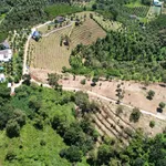 Bán đất 7000m² view đồi Tân Lạc, Bảo Lộc, giảm 350 triệu còn 3,5 tỷ - Ảnh thu nhỏ 3