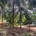 Bán đất Xã Thới Lai Bình Đại 158m² 550 triệu - Ảnh thu nhỏ 4