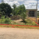 Bán đất 7x40m (50m2 thổ cư) MT Thạnh Bình, Gò Cát, Tân Biên, Tây Ninh - Ảnh thu nhỏ 9
