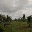 Diện tích lớn 1.4ha, có 500m2 thổ cư, đường ô tô, SHR, tại La Gi, thích hợp làm Homestay, phân lô - Ảnh thu nhỏ 24