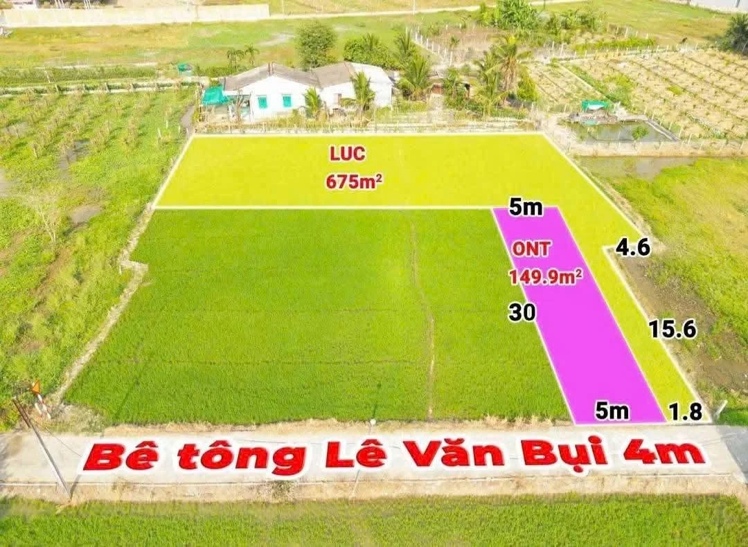 Bán đất 725m² xây nhà vườn Tân Trụ, Tây Ninh, 1.3 tỷ - Ảnh thu nhỏ 4