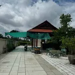 Bán nhà vườn mặt tiền Tân Hiệp 493,8m2 Tân Phú - Ảnh thu nhỏ 4