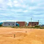 Bán đất biển Hoài Hải 205m² thổ cư Bình Định - Ảnh thu nhỏ 2