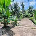 Bán đất vườn mặt tiền Mỹ Thạnh 1.064m² - 1,2 tỷ - Giồng Trôm - Ảnh thu nhỏ 3