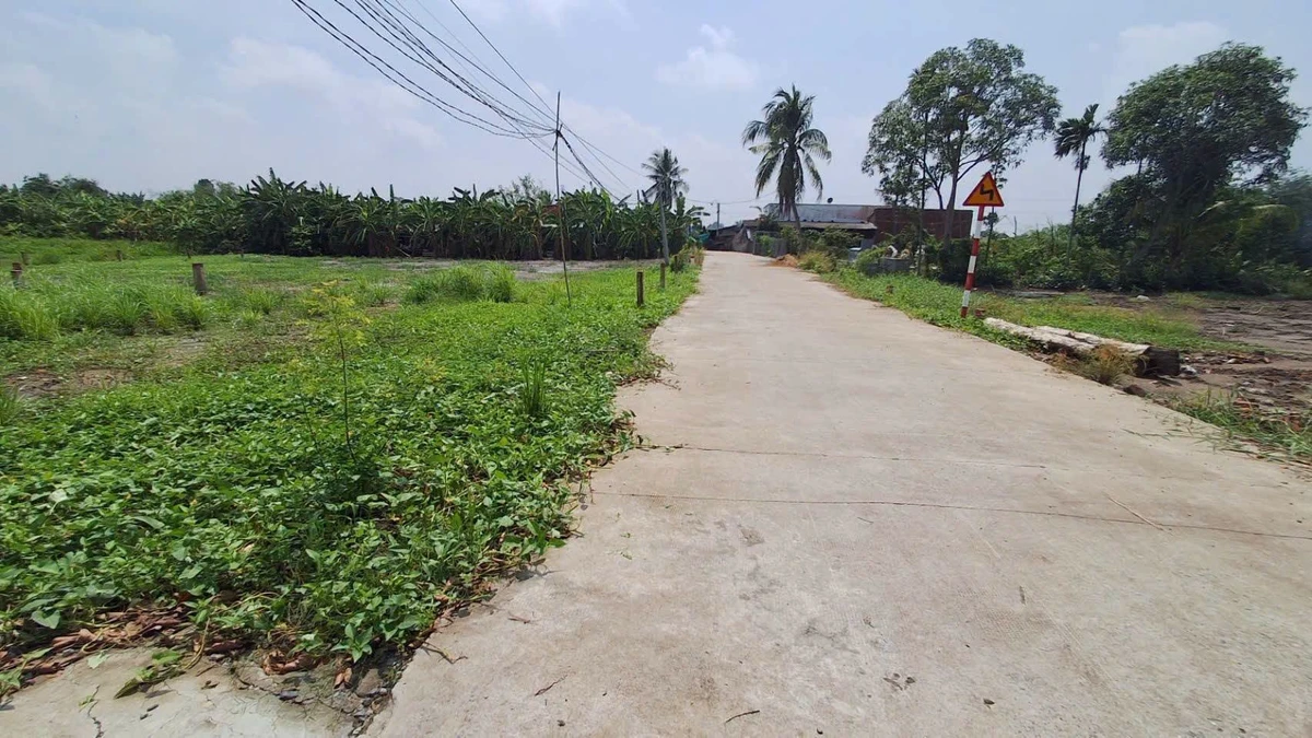 Bán đất 70m² thổ cư chỉ 289 triệu Tân Trụ - Ảnh thu nhỏ 2