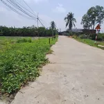 Bán đất 70m² thổ cư chỉ 289 triệu Tân Trụ - Ảnh thu nhỏ 2