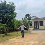 Nhà vườn cây ăn trái 3000m2, 300m2 thổ cư, gần QL 13 - Ảnh thu nhỏ 2
