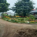 Bán đất 380m2 tại đường 925, thị trấn Mái Dầm, Châu Thành, Hậu Giang, chỉ với 1.8 tỷ VND - Ảnh thu nhỏ 6
