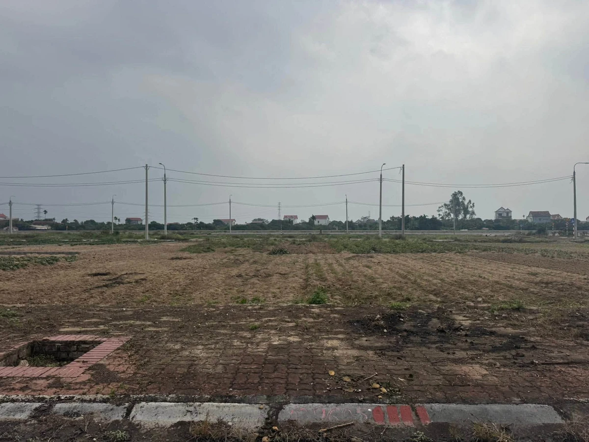 Bán lô đất 92.5m2 Xã Tống Trân Hưng Yên, giá 1 tỷ 6 - Ảnh thu nhỏ 2