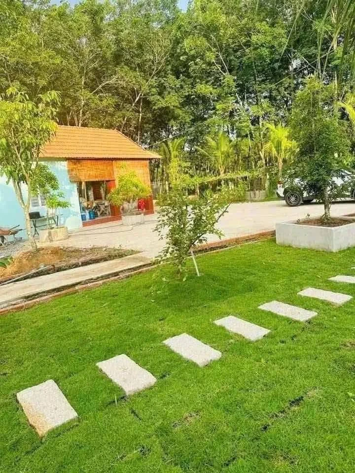 Nhà vườn rộng 1.411m2 với vườn cây ăn trái tại An Điền - Ảnh thu nhỏ 2