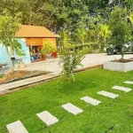 Nhà vườn rộng 1.411m2 với vườn cây ăn trái tại An Điền - Ảnh thu nhỏ 2