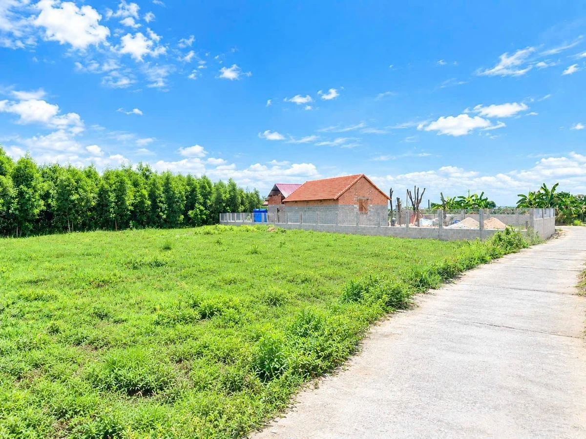 Bán đất 1000m2 Phan Thiết, sổ hồng, mặt tiền 36m - Ảnh thu nhỏ 5