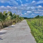 Bán đất vườn 1 sào Bảo Vinh Long Khánh - Ảnh thu nhỏ 3
