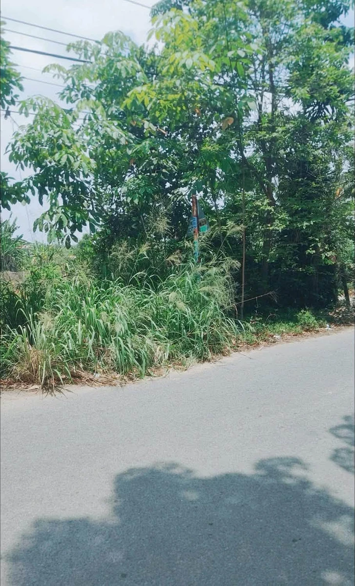 Bán lô đất An Tây, Bình Tân 3,6 tỷ - Ảnh thu nhỏ 3
