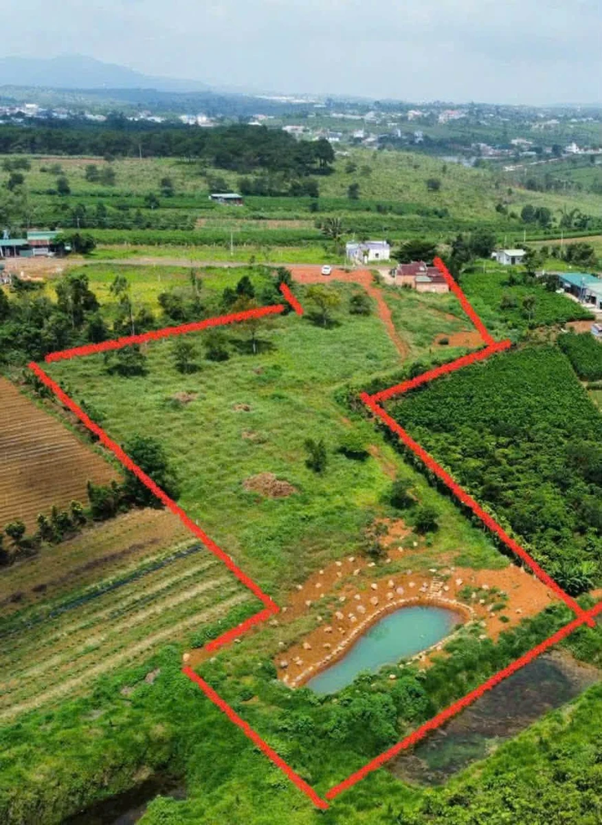 Bán đất mặt tiền Lý Thái Tổ 7.806m² Bảo Lộc 9,5 tỷ - Ảnh 1