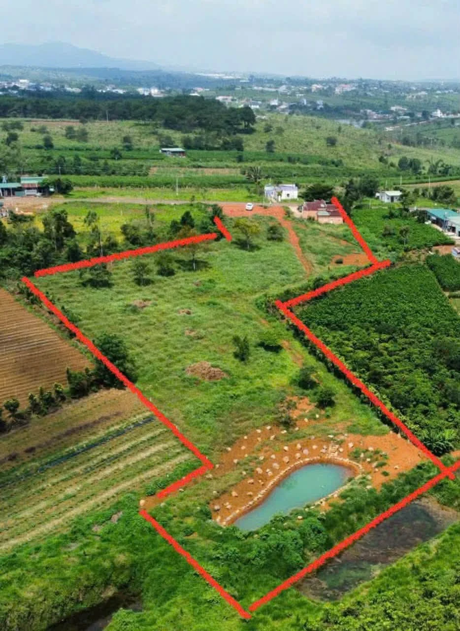 Bán đất mặt tiền Lý Thái Tổ 7.806m² Bảo Lộc 9,5 tỷ - Ảnh 1