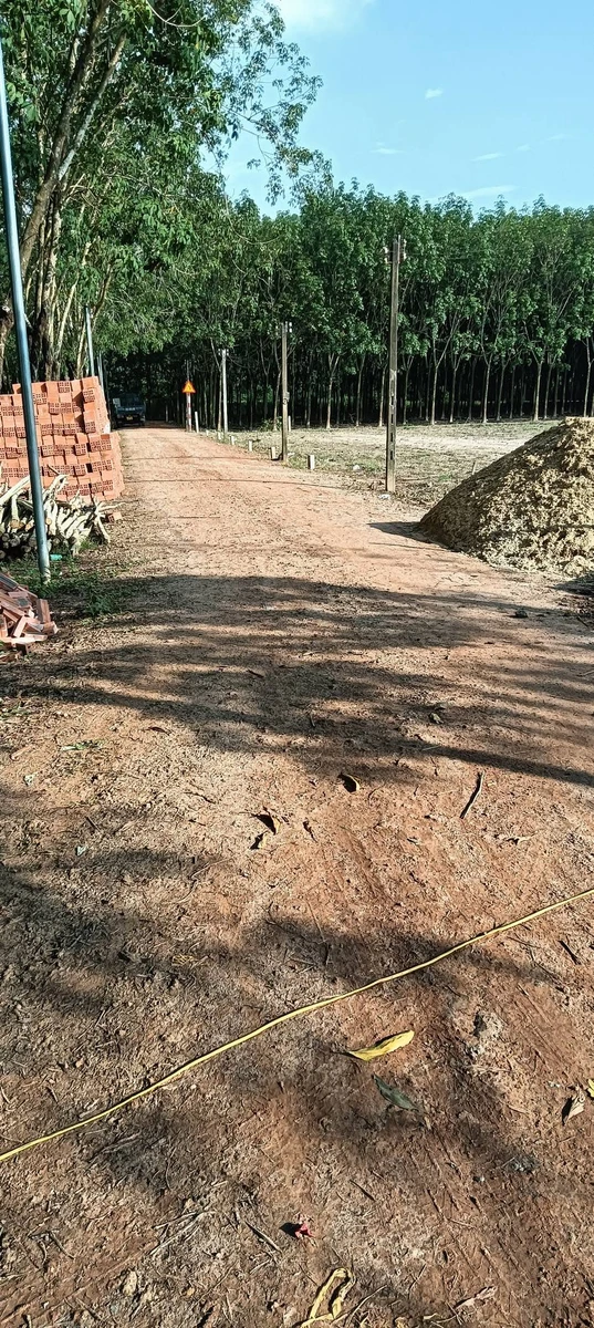 Bán đất 50m2 giá 250 triệu tại Đồng Khởi, Châu Thành, Tây Ninh - Ảnh thu nhỏ 2