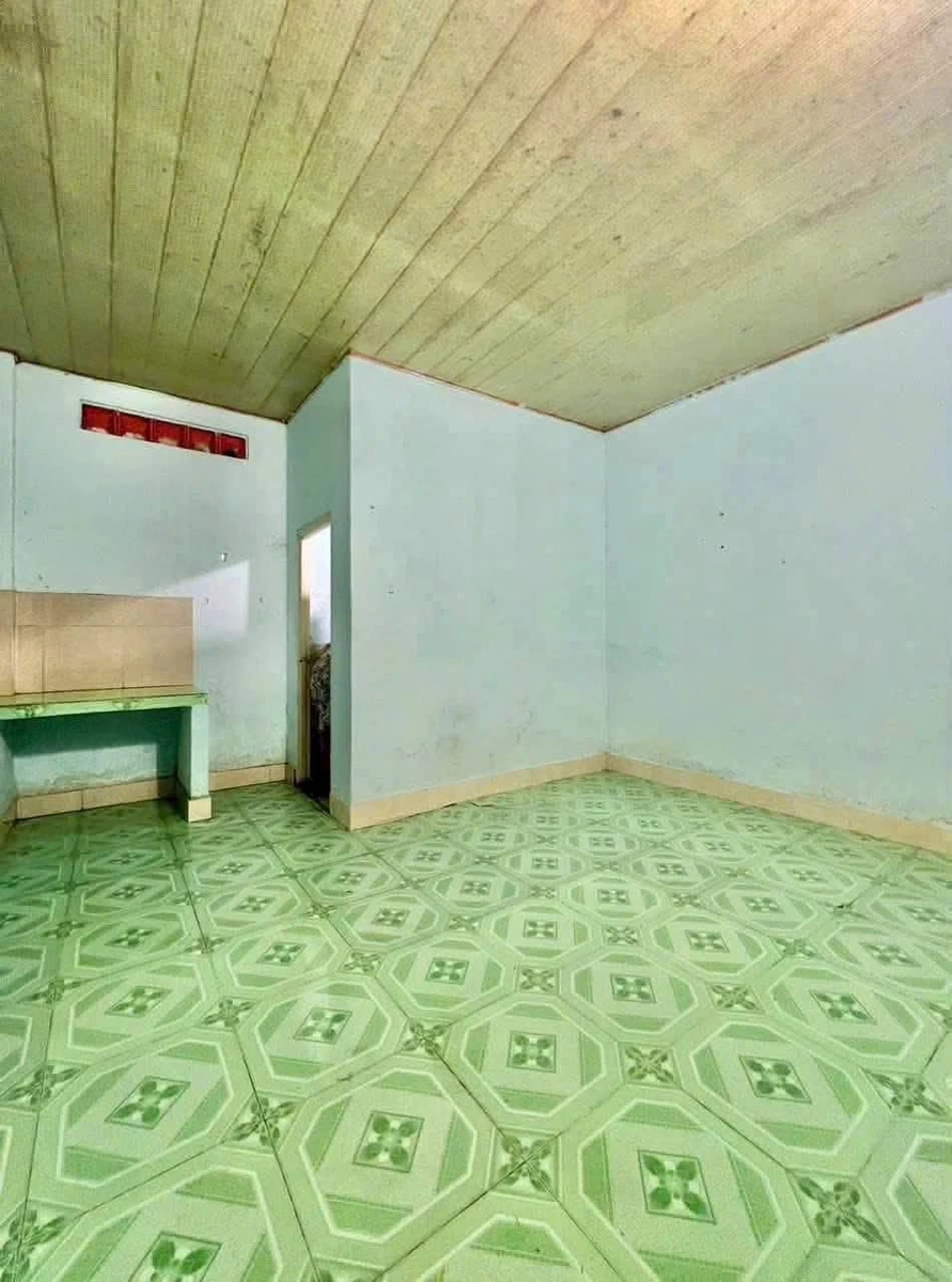 Bán lô đất 130m2 sổ hồng riêng đường Hải Thượng Lãn Ông - Ảnh thu nhỏ 2