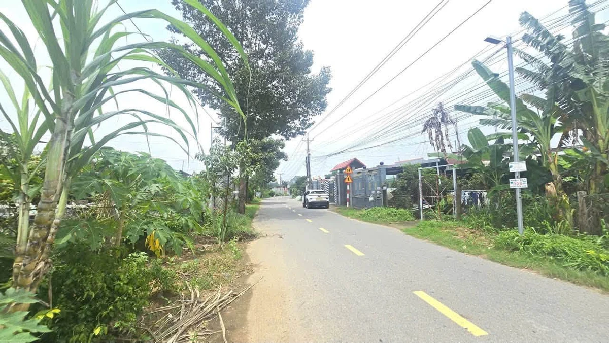 Bán vườn mai gần 2 hecta Tân Triều Đồng Nai 24 tỷ - Ảnh thu nhỏ 3