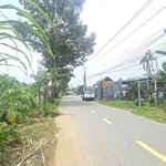Bán vườn mai gần 2 hecta Tân Triều Đồng Nai 24 tỷ - Ảnh thu nhỏ 3