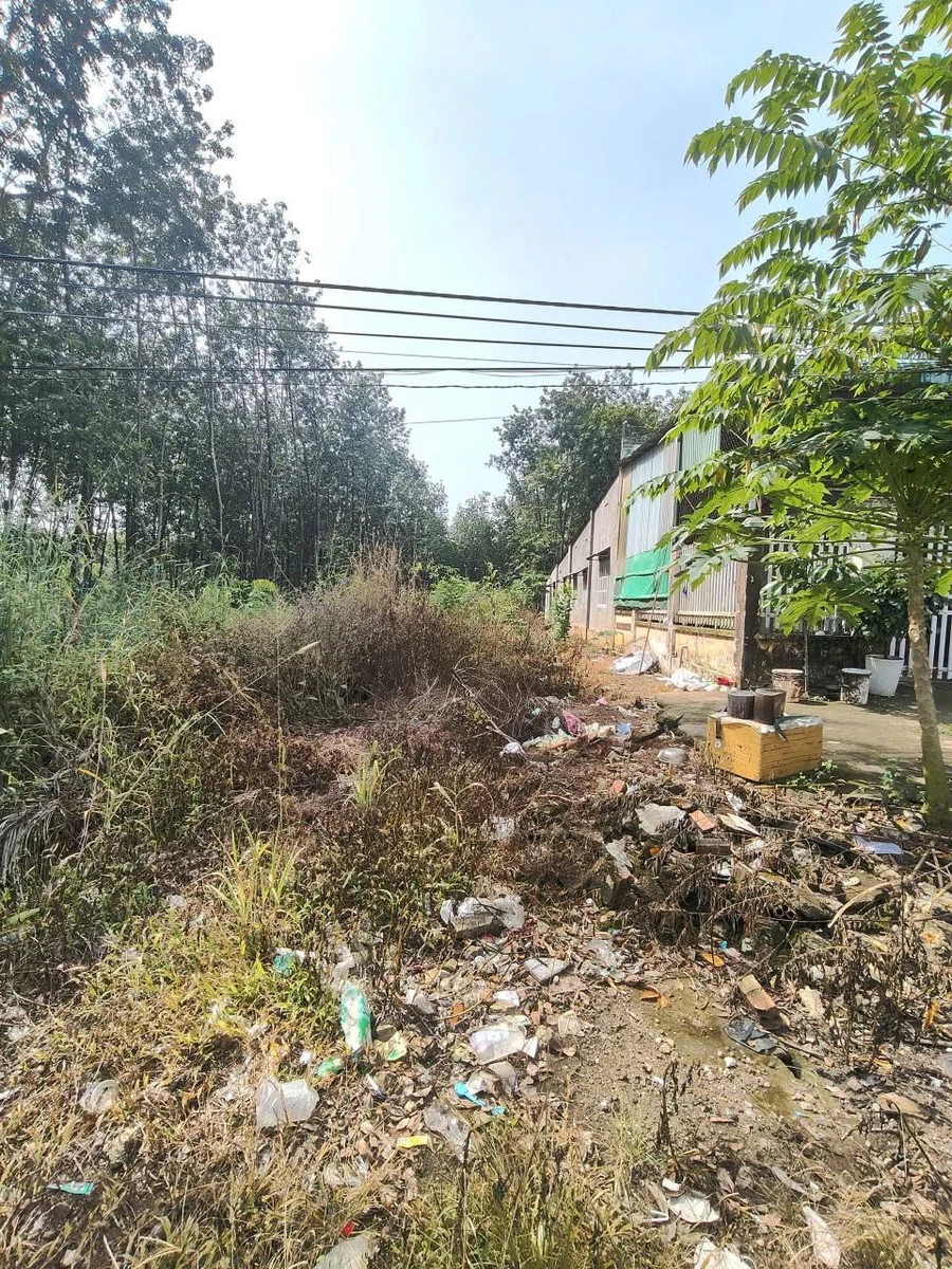 Đất xây nhà trọ Tiến Hưng 8000m2 gần KCN Bắc Đồng Phú - Ảnh thu nhỏ 2
