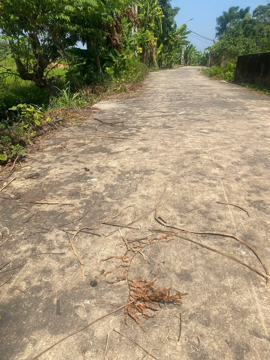 Bán đất Tân An 160m² mặt tiền 7m giá 11 tỷ - Ảnh thu nhỏ 2