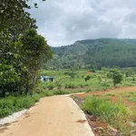 Bán đất 1000m2 Hiệp An, Đà Lạt 1 tỷ 6 - Ảnh thu nhỏ 1