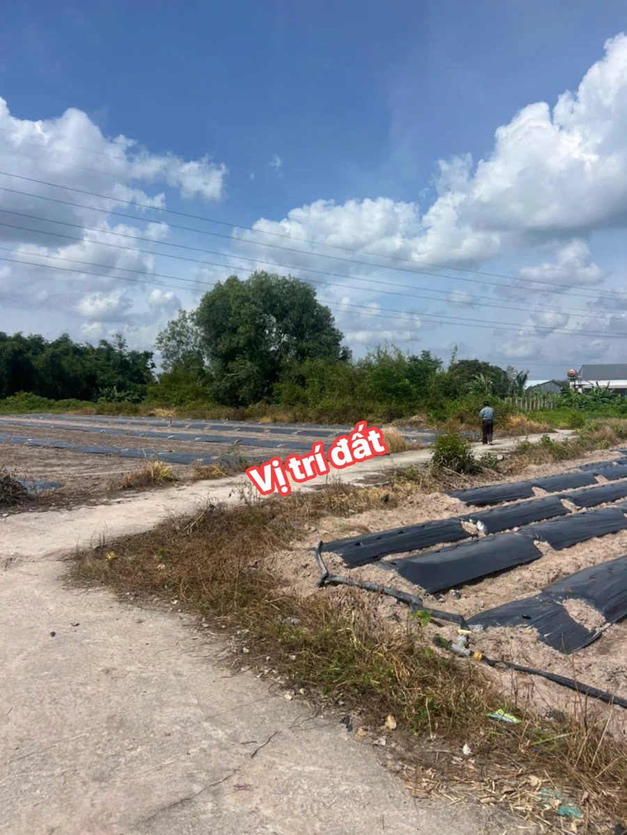 Bán đất nền Trương Mít 165m² 220 triệu - Ảnh 1